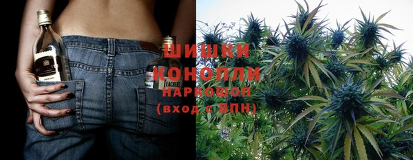 спайс Алзамай