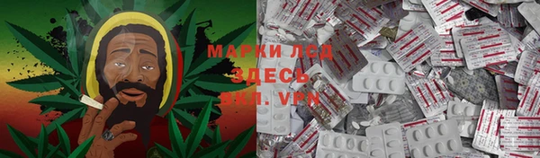 спайс Алзамай